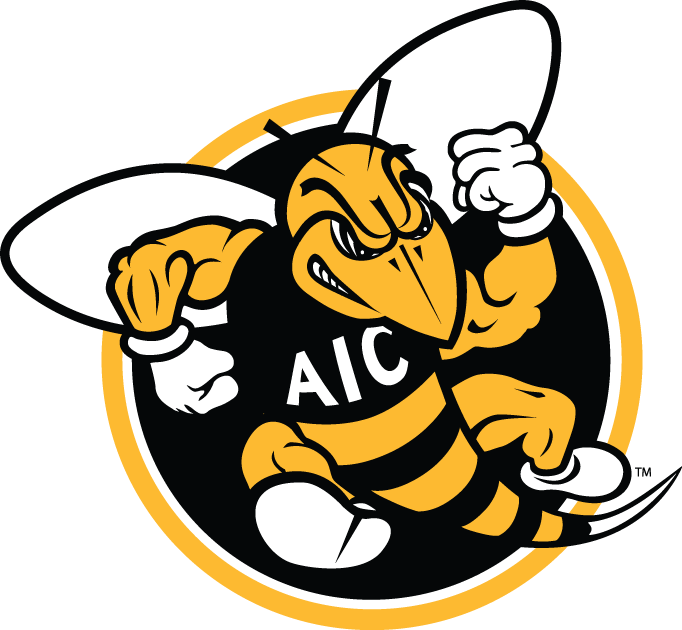 AIC Yellow Jackets 2009-Pres Alternate Logo iron on transfers for T-shirts